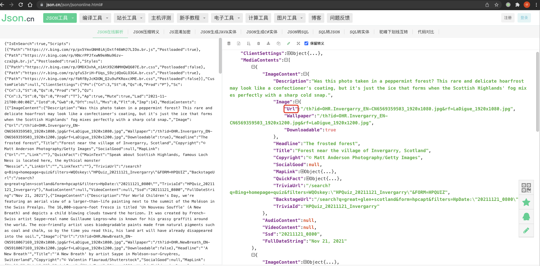 在线格式化 Json 字符串结果